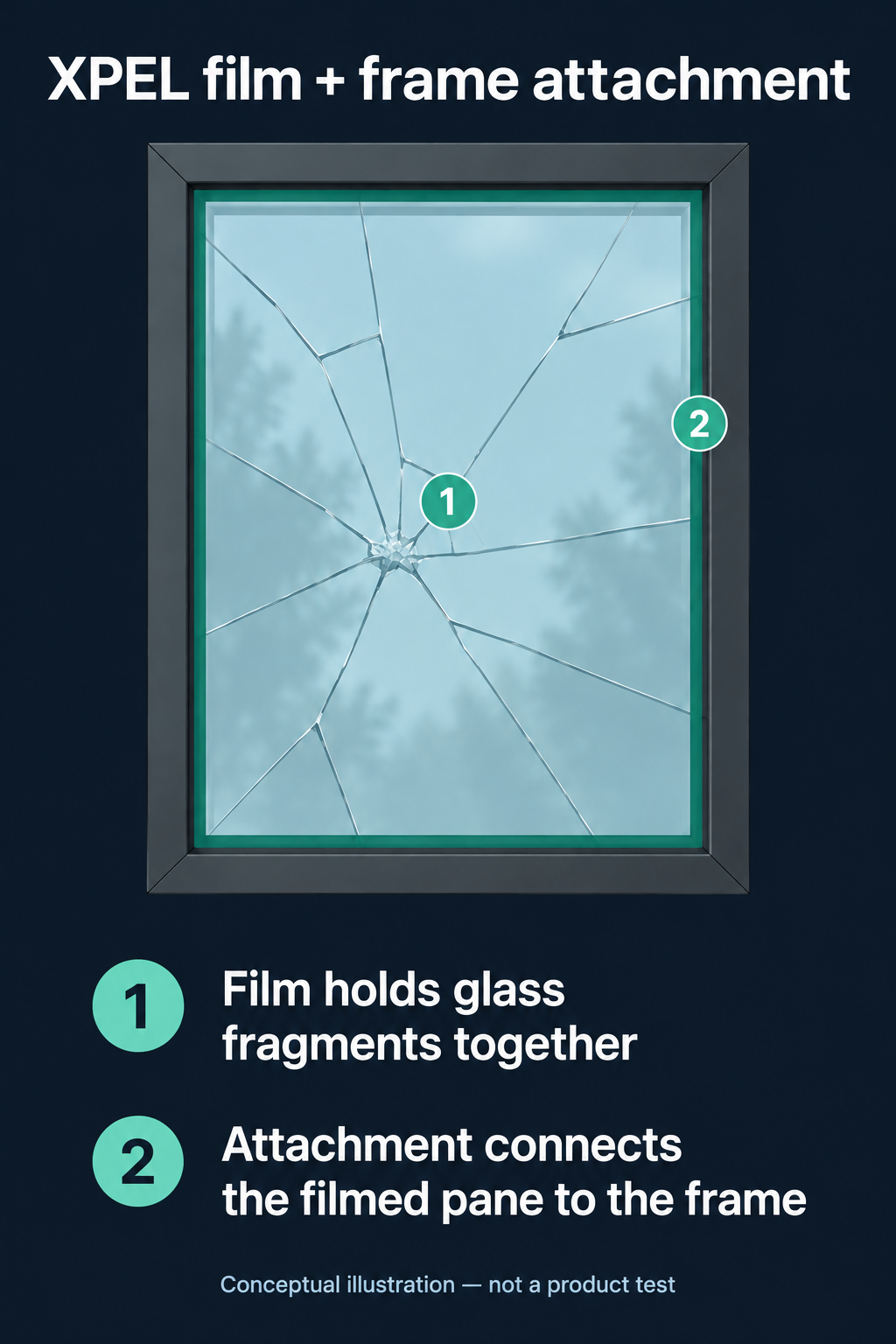 Conceptual window illustration: XPEL film holds fractured glass together and perimeter attachment connects the filmed pane to all four sides of the frame